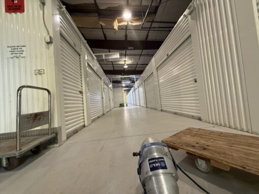 Mold in Commercial Buildings: What Business Owners Need to Know