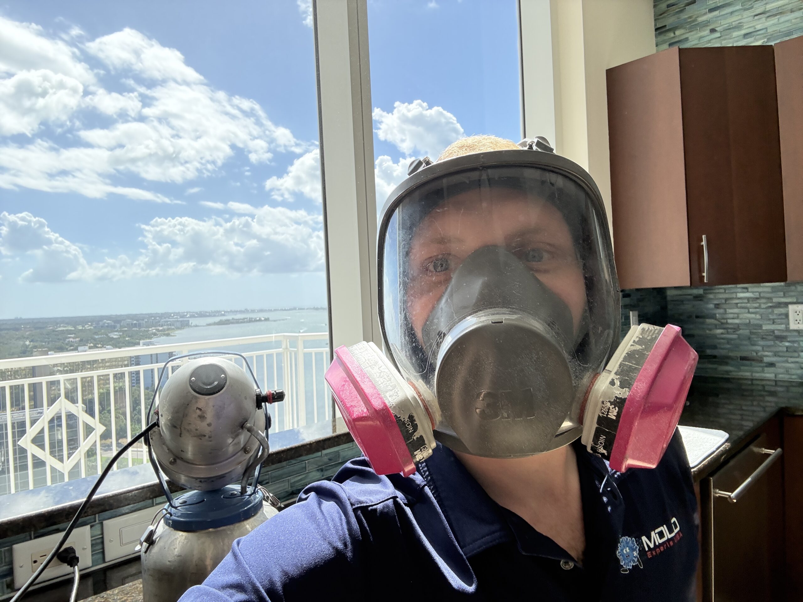 Mold Remediation Clearwater Florida