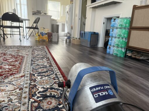 Buying or Selling a Home? The Role of Residential mold remediation Services in Real Estate