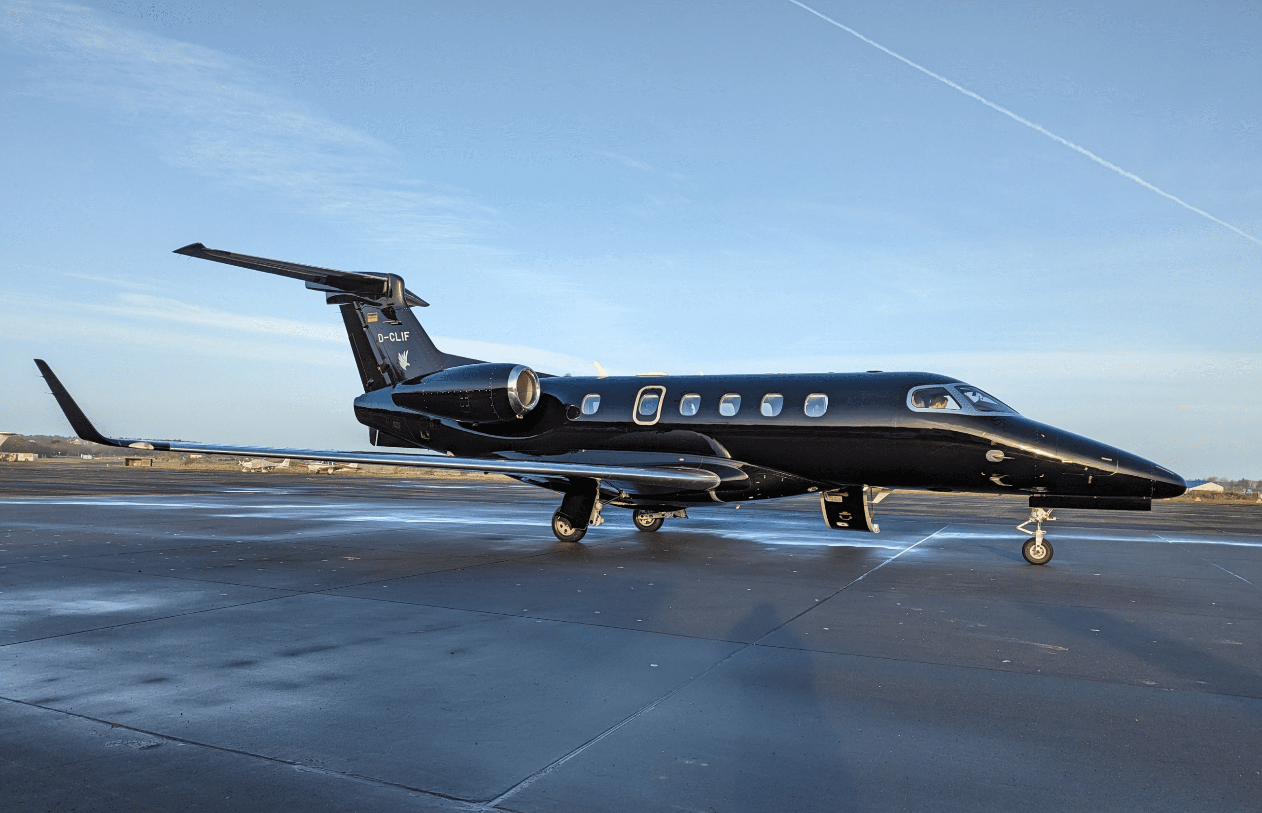 Mold Remediation for Aircrafts