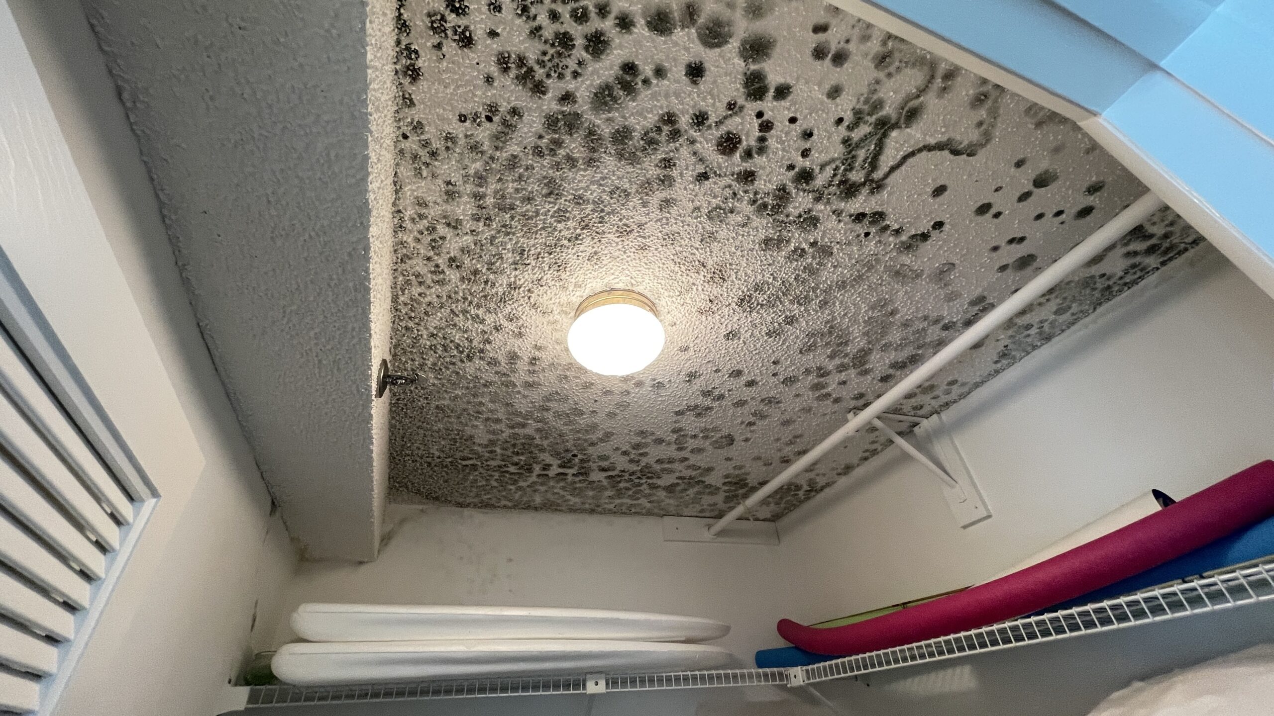 Mold Remediation