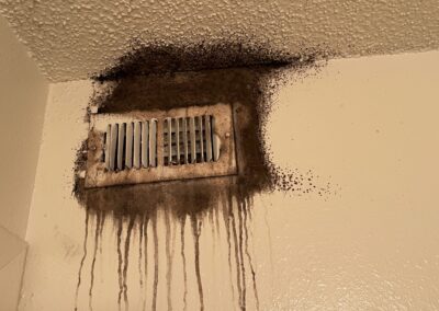 HVAC Mold Remediation