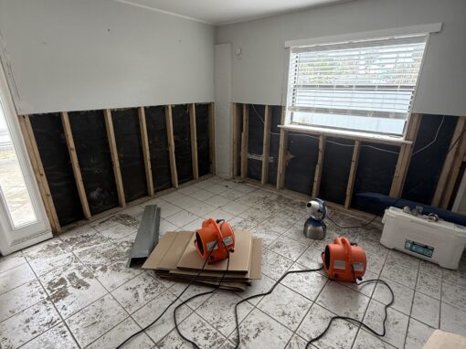 The Importance of Proper Flood Restoration to Prevent Mold Growth