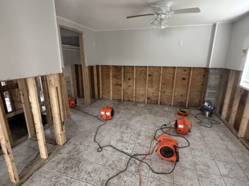 The Aftermath of a Major Storm | Hidden Mold Created From High Humidity