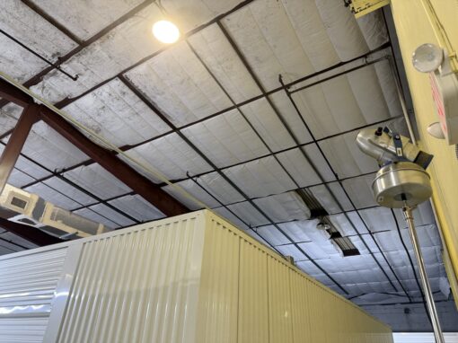 Why You Should Invest in Professional Commercial Mold Remediation Services