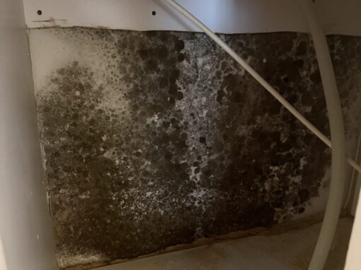 Winter Weather Affects Mold Air Quality Testing for Hidden Mold