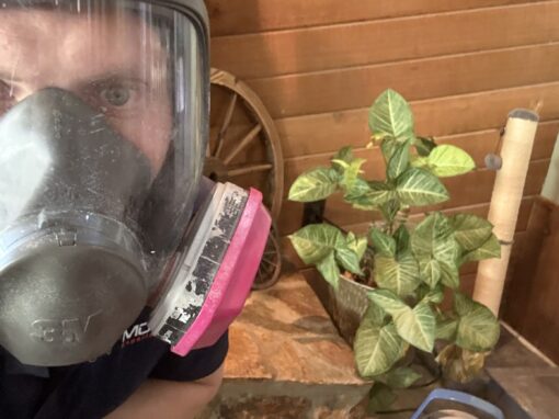 The Future of Mold Remediation: How Cutting-Edge Technology Is Revolutionizing the Industry