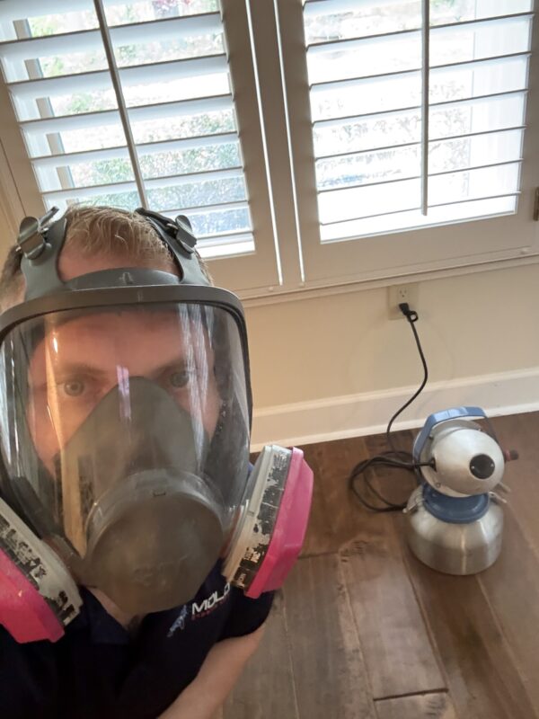 Mold Remediation