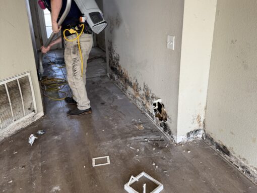 Top 10 Tips to Prevent Mold Growth in Clearwater Homes