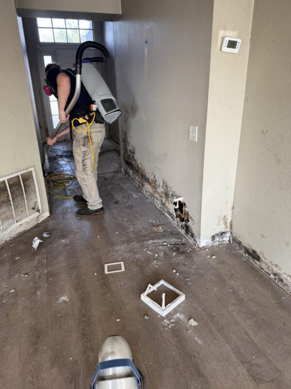 Mold Remediation