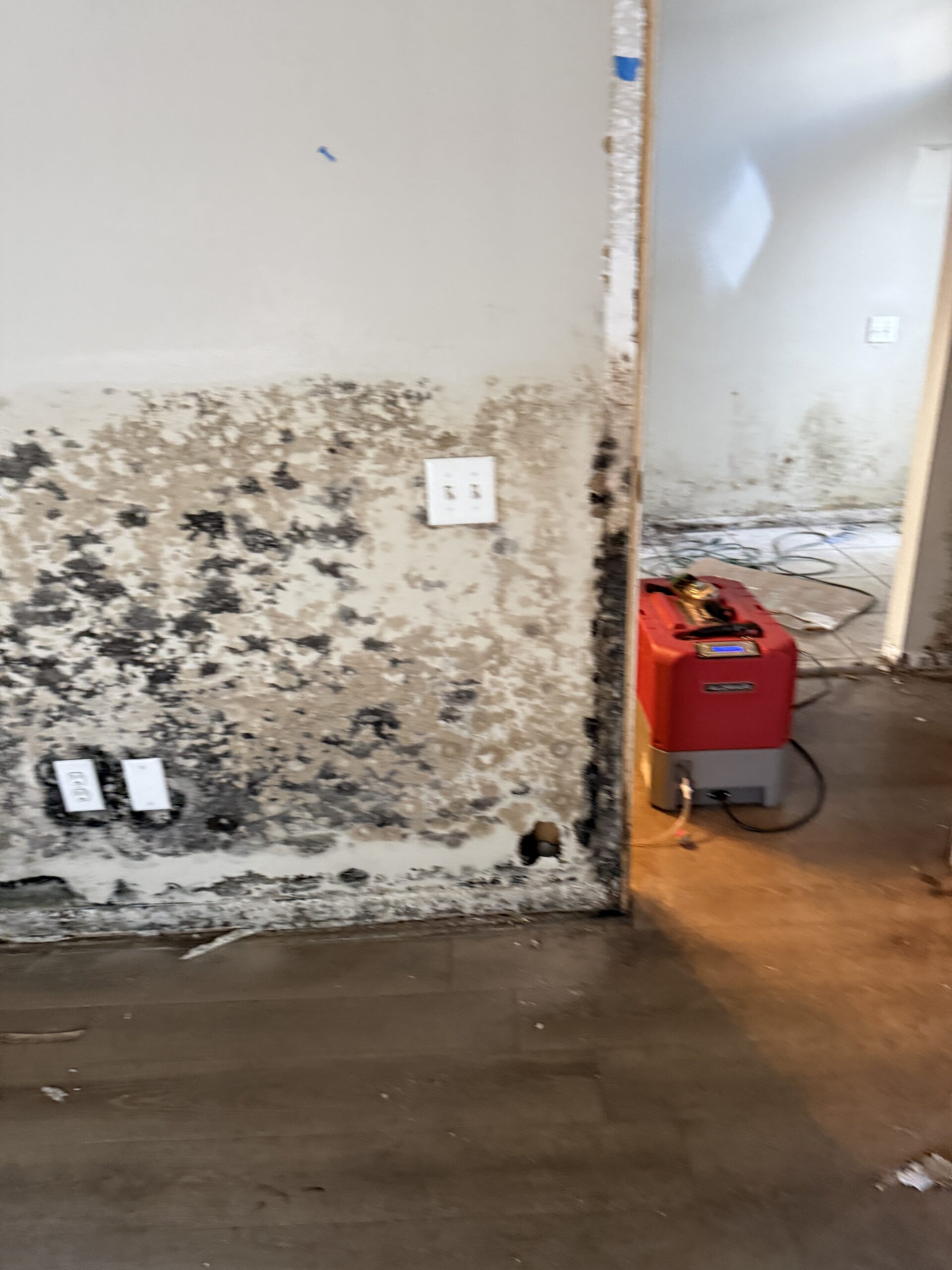 Mold Remediation/ Water Restoration