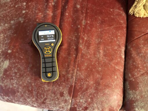 Mold Prevention in Florida Winter | Use a Residential Dehumidifier