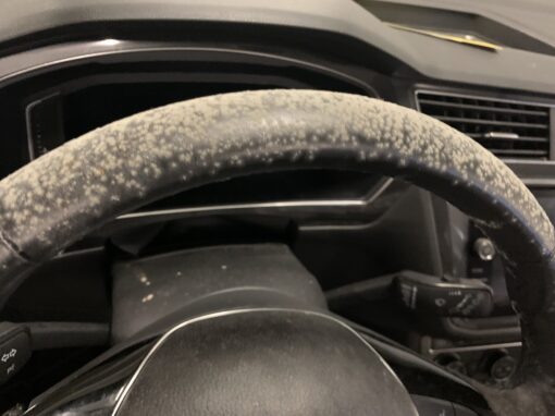 Mold in Cars: Causes, Risks, and Smart Solutions