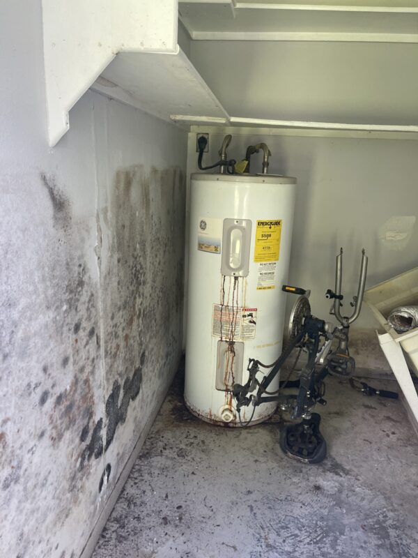 Mold Remediation