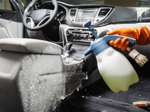 When to Seek Professional Help for Car Mold Remediation